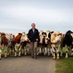 Un troupeau de vaches encercle un promeneur : ce quʼelles protégeaient laisse tout le monde sans voix