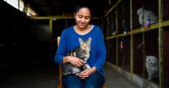 Une femme adopte le chat que personne ne voulait depuis sept ans : ce quʼil fait le premier soir la bouleverse