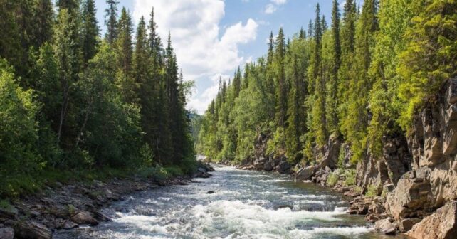 Plan Nacional de Restauración de la Naturaleza: España envía a Bruselas un proyecto que todavía oculta a la ciudadanía