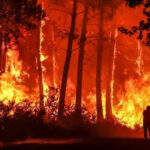 Feux de forêt en Europe : 634 473 hectares détruits et l'incendie double déjà la moyenne historique