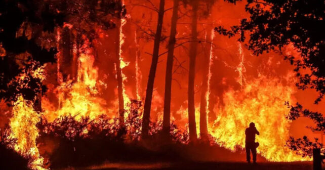 Incendios forestales en Europa: 634.473 hectáreas arrasadas y el fuego duplica ya la media histórica