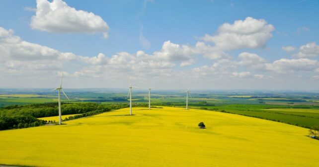 Directivos europeos debaten la transición verde y la competitividad empresarial