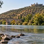 Alors que les données officielles indiquent que l'eau du Guadalquivir est bonne, des chercheurs de l'Université de Cordoue mettent en garde : des signes de stress environnemental ont été constatés.