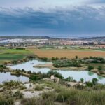 Étangs d'irrigation : le GREFA et le WWF réclament des rampes après avoir documenté 31 décès