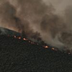 Feux de forêt : l’alerte sur les montagnes abandonnées