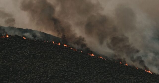 Incendios forestales