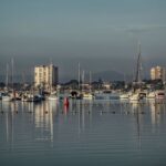 Filtres verts de la Mar Menor : la barrière contre les nitrates reçoit le feu vert