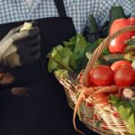 Journée européenne de l'agriculture biologique 2026 et son engagement pour les campagnes du futur