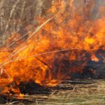 L'Espagne frôle les 300 000 hectares brûlés par les incendies en 2026