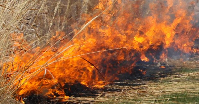 incendios en 2026