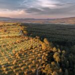 L’UE met son bouclier en jeu : des solutions fondées sur la nature
