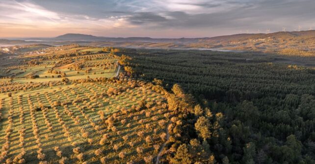 soluciones basadas en la naturaleza frente a los desastres climáticos