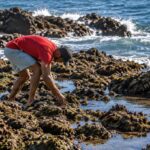 La crise frontalière menace la biodiversité de Ceuta, selon les écologistes