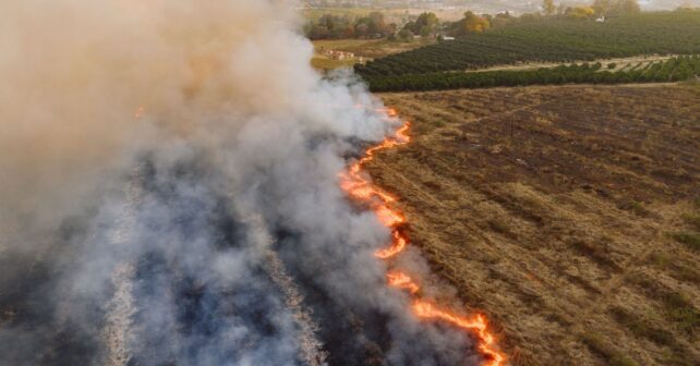 parálisis ambiental en España denunciada por Greenpeace