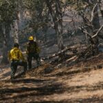 La restauration de l'incendie de Niebla coûtera 404 millions