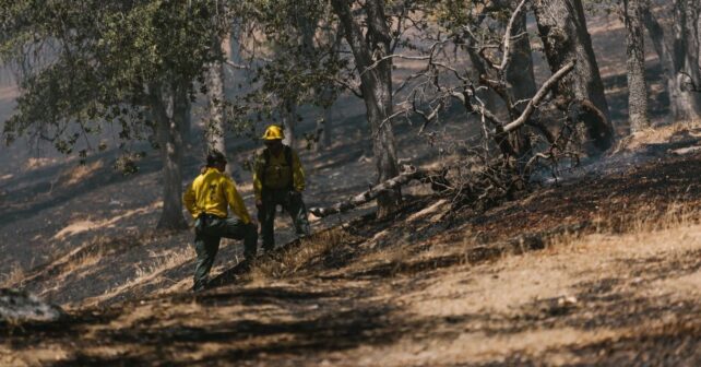 Restaurar el incendio de Niebla costará 404 millones
