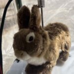 Le fléau des pythons birmans qui secoue les États-Unis est si grave que les experts ont eu une idée géniale : lâcher des lapins robotisés équipés de capteurs d'odeur et de chaleur pour localiser les serpents.