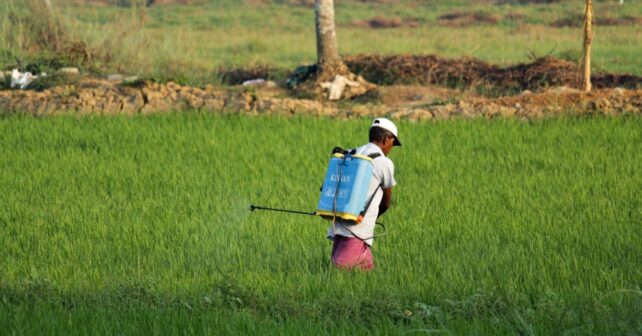 La intoxicación por pesticidas afecta cada año a cientos de millones de personas