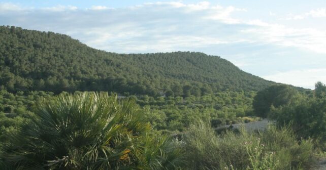Parque Natural Sierra de Escalona en la Vega Baja de Alicante