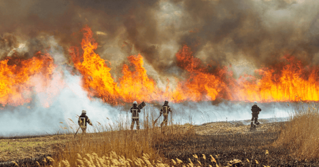 Bomberos forestales todo el año realizando labores preventivas en los montes