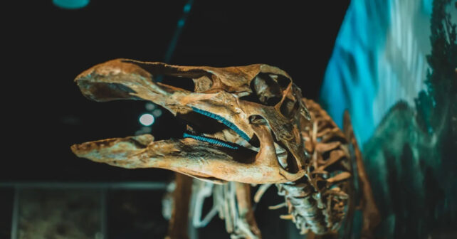 Un fósil de Tanzania cambia la historia de los dinosaurios