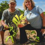 Une femme a acheté une ferme de canne à sucre dans le Queensland pour nourrir les chauves-souris et, avec l'aide de centaines de bénévoles, a planté plus de 119 000 arbres qui constituent désormais une forêt tropicale protégée par la loi.