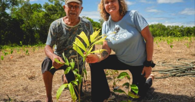 Dos personas plantan un árbol en NightWings, en Queensland