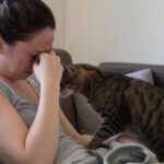 Le chat sait-il quand vous êtes triste ?