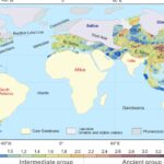 Une équipe internationale a analysé les données de 25 346 ​​roches pour reconstruire le Gondwana et a calculé que le supercontinent couvrait près de 80 % de la surface continentale de la planète, contre 64 % estimé précédemment.
