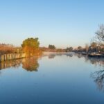Après les dégâts, l'Albufera retrouve sa vie microbienne, mais est encore loin des eaux claires