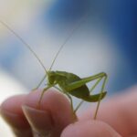 Journée mondiale de la protection de la nature : ce que nous perdons lorsque nous détruisons un écosystème