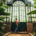 Journée mondiale des jardins botaniques 2026 : refuges pour plantes menacées