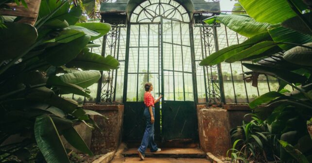 Colección de plantas para ilustrar el Día Mundial de los Jardines Botánicos 2026
