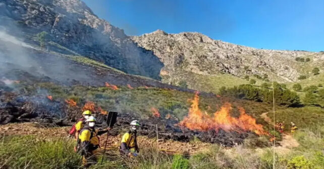 Avión de extinción que ilustra la propuesta de una base aérea contra incendios en Mallorca