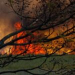 L'Espagne dépasse les 300 000 hectares brûlés par les incendies : plus du triple de la moyenne