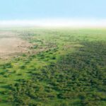La Grande Muraille Verte reçoit 78 millions de dollars pour restaurer les terres de neuf pays africains