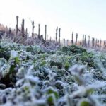 La météo aujourd'hui, jeudi 8 octobre en Espagne : pluie, baisse des températures et premières gelées