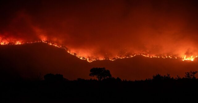 Trabajos de desbroce para la prevención de incendios forestales en España