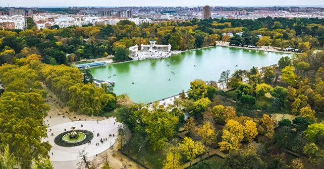 Olmo histórico del paseo de la Castellana incluido en la Guía Verde de Madrid