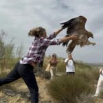 Le sauvetage des rapaces face à la chaleur : Félix vole à nouveau à Badajoz