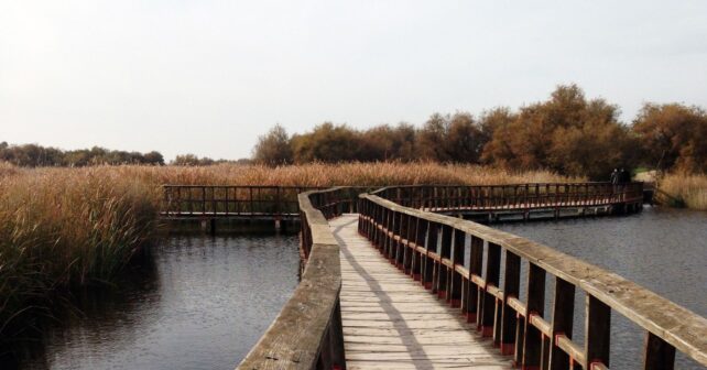 Entorno de los Ojos del Guadiana vinculado al agua subterránea en Daimiel