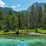 Les forêts matures d'Aigüestortes se distinguent en Espagne par leur qualité et leurs réserves de carbone