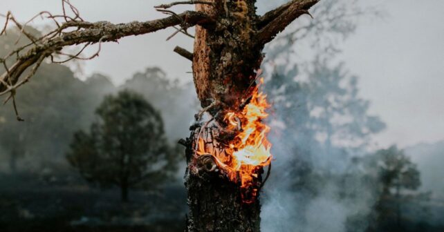 Humo de los incendios en Indonesia sobre terrenos afectados por el fuego