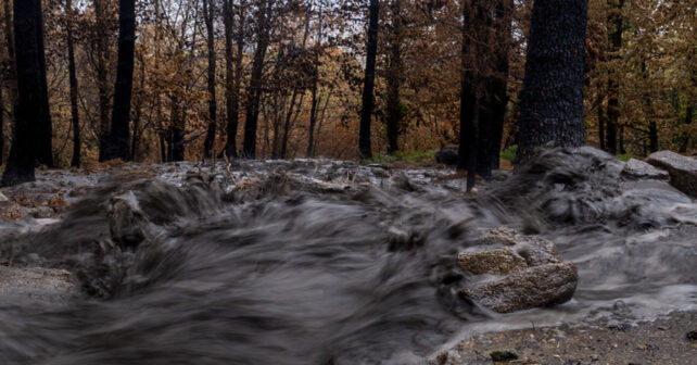 Arrastre de cenizas de incendios en el agua procedente de terrenos quemados en Burgohondo, Ávila.