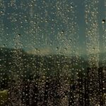 Pluies après les incendies : le WWF met en garde contre les risques d'inondations et de contamination des eaux après l'incendie