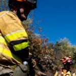Prévention des incendies de forêt grâce à la gestion forestière