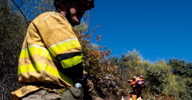 Trabajos de desbroce y gestión del monte para la prevención de incendios forestales.