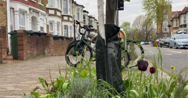 Alcorque ajardinado con tulipanes en una acera de Westminster, como los que promueve su guía de jardinería en la calle