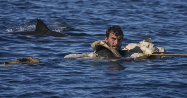 En 1945 près de 900 marins américains ont dérivé quatre jours dans le Pacifique au milieu des requins et seuls 316 ont survécu