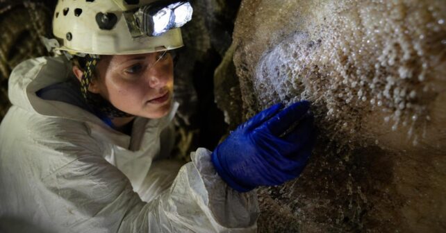 Fermée depuis plus de 5 millions dʼannées cette grotte roumaine abrite des dizaines dʼespèces qui nʼexistent nulle part ailleurs